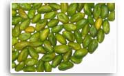 Iran Pistachio, Very green peeled Pistachio Kernel G A