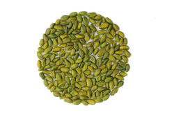 Very green peeled Pistachio Kernel - Image 8