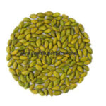 Gppk-Green-Pistachio-B
