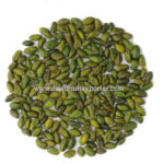 Gppk-Green-Pistachio-S (super green)