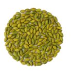 grade B (light green) (Small)