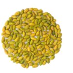 grade D (yellow) (Small)