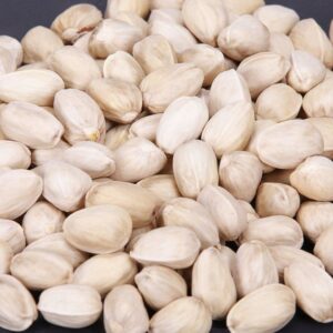 closed mouth pistachio